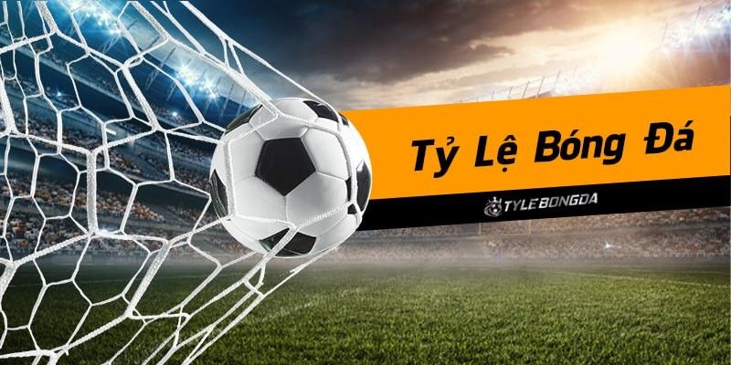 Các yếu tố ảnh hưởng đến cách tính tiền cá độ